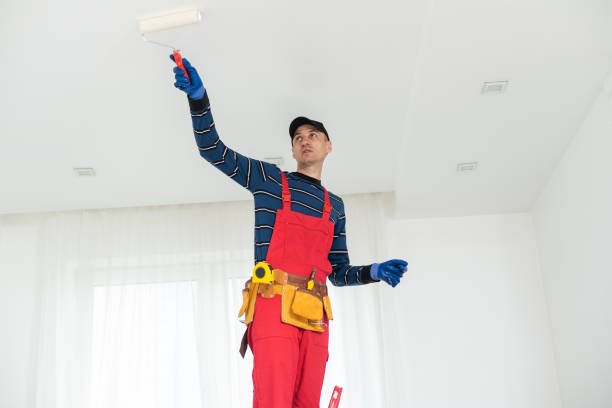 Best Emergency Mold Remediation  in Hawarden, IA